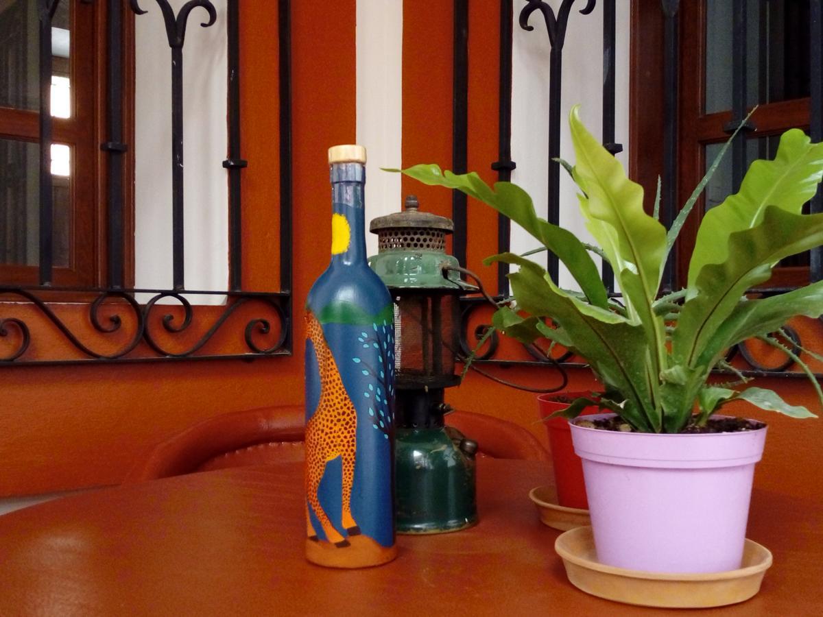 Casa Agave Oaxaca Panzió Kültér fotó