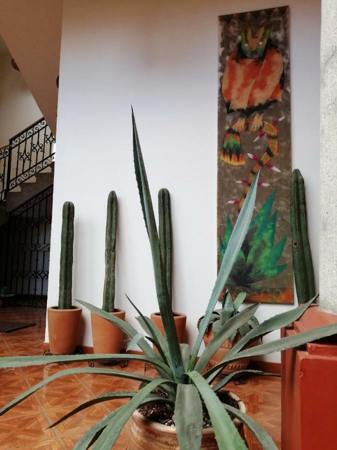 Casa Agave Oaxaca Panzió Kültér fotó