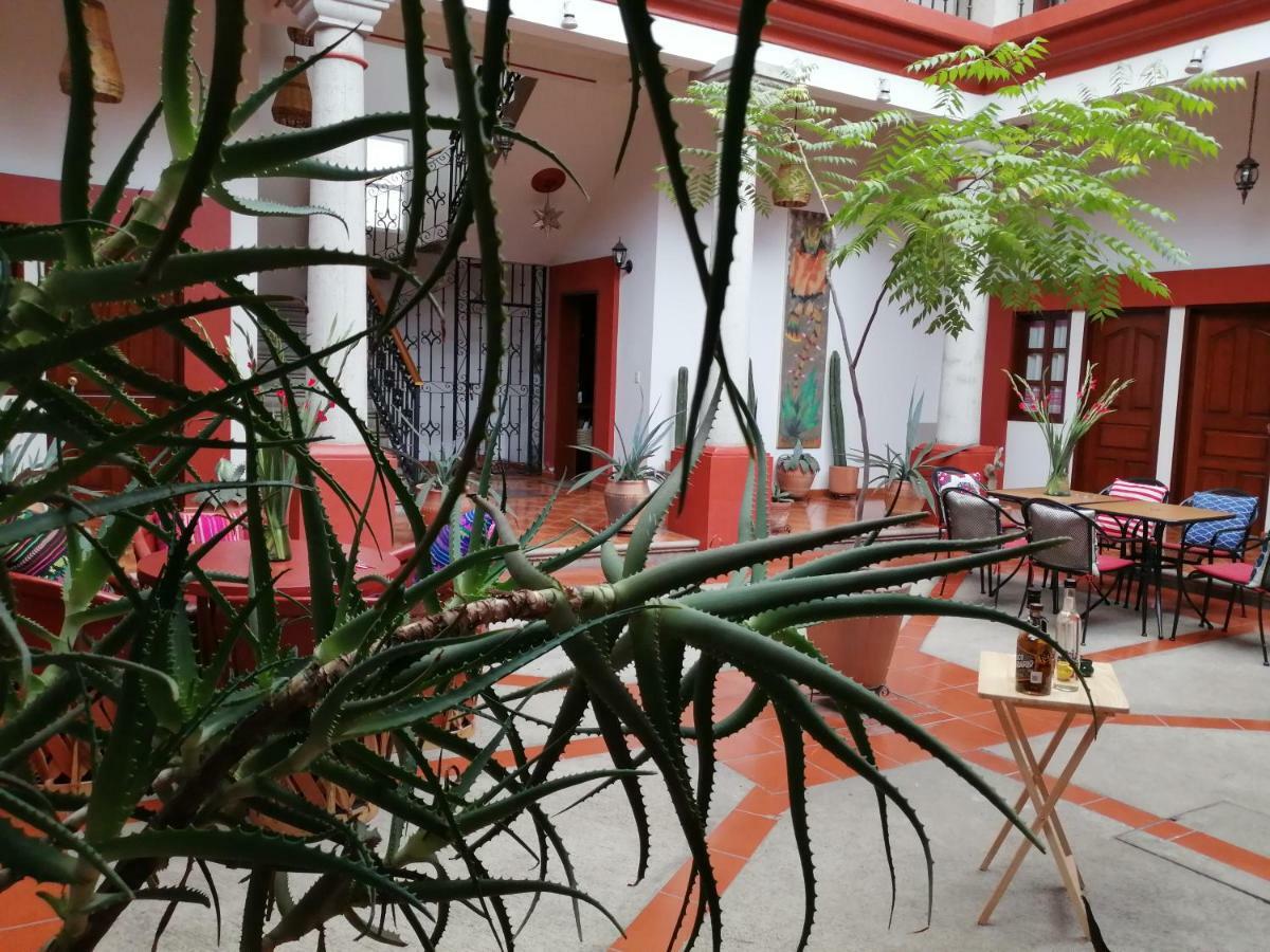 Casa Agave Oaxaca Panzió Kültér fotó